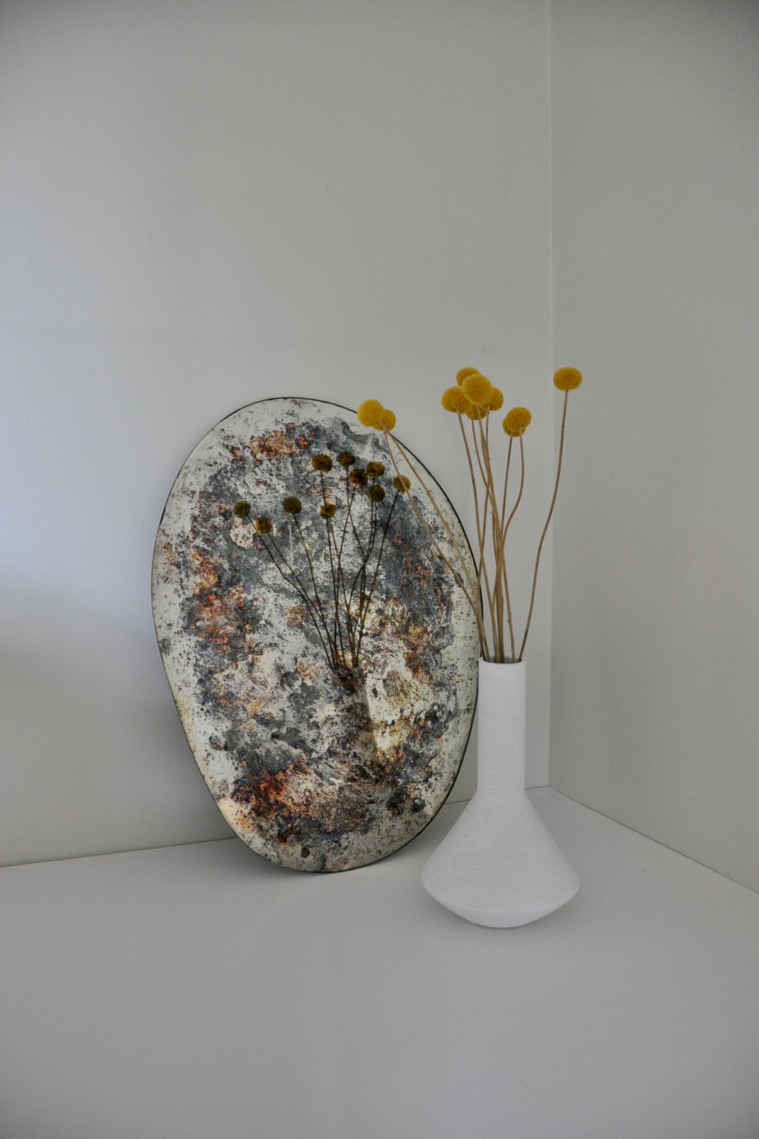 Modelo 0.2 tratamiento nitrato