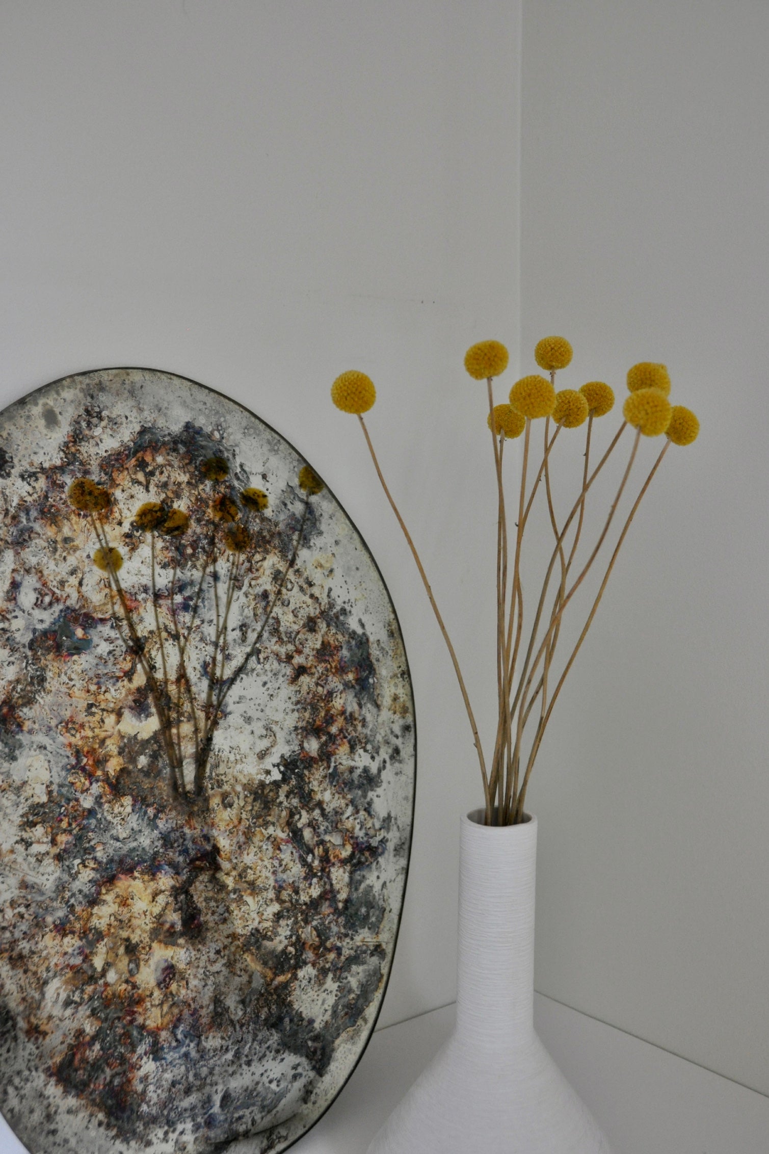 Modelo 0.2 tratamiento nitrato